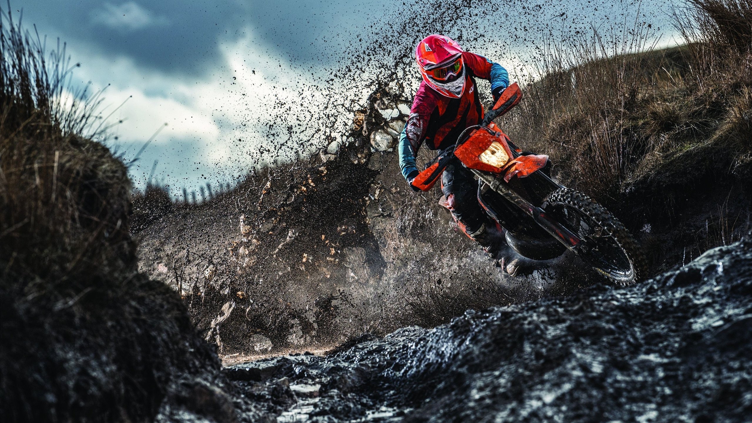 科维托娃重要时刻比赛规则变更，切尔西带队取胜！赛场气氛高涨